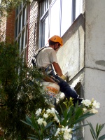 rehabilitaci&oacute;n